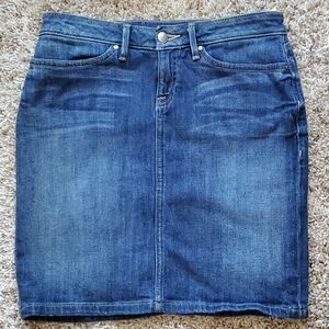 Banana Republic Skirt